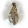 Medical Study Articulated Child Skeletal Torso