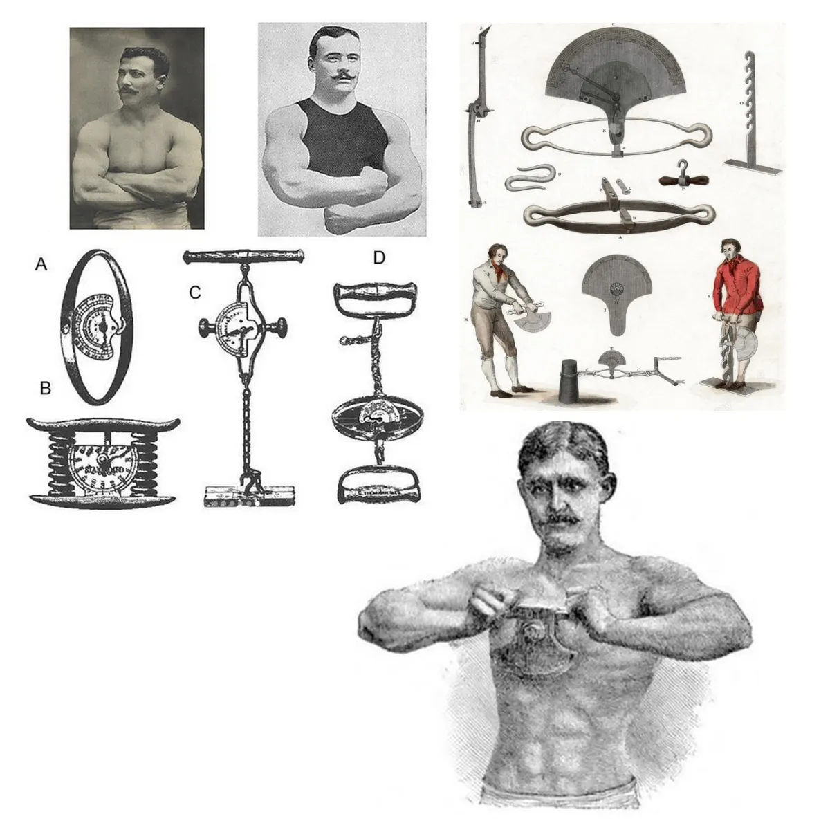 MS117D Dynamometer Arm Strength