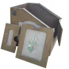 MS119E THE ANIDROSIS! The Compound Vapor Bath – Outstanding “Quack Medicine” Vapor Box