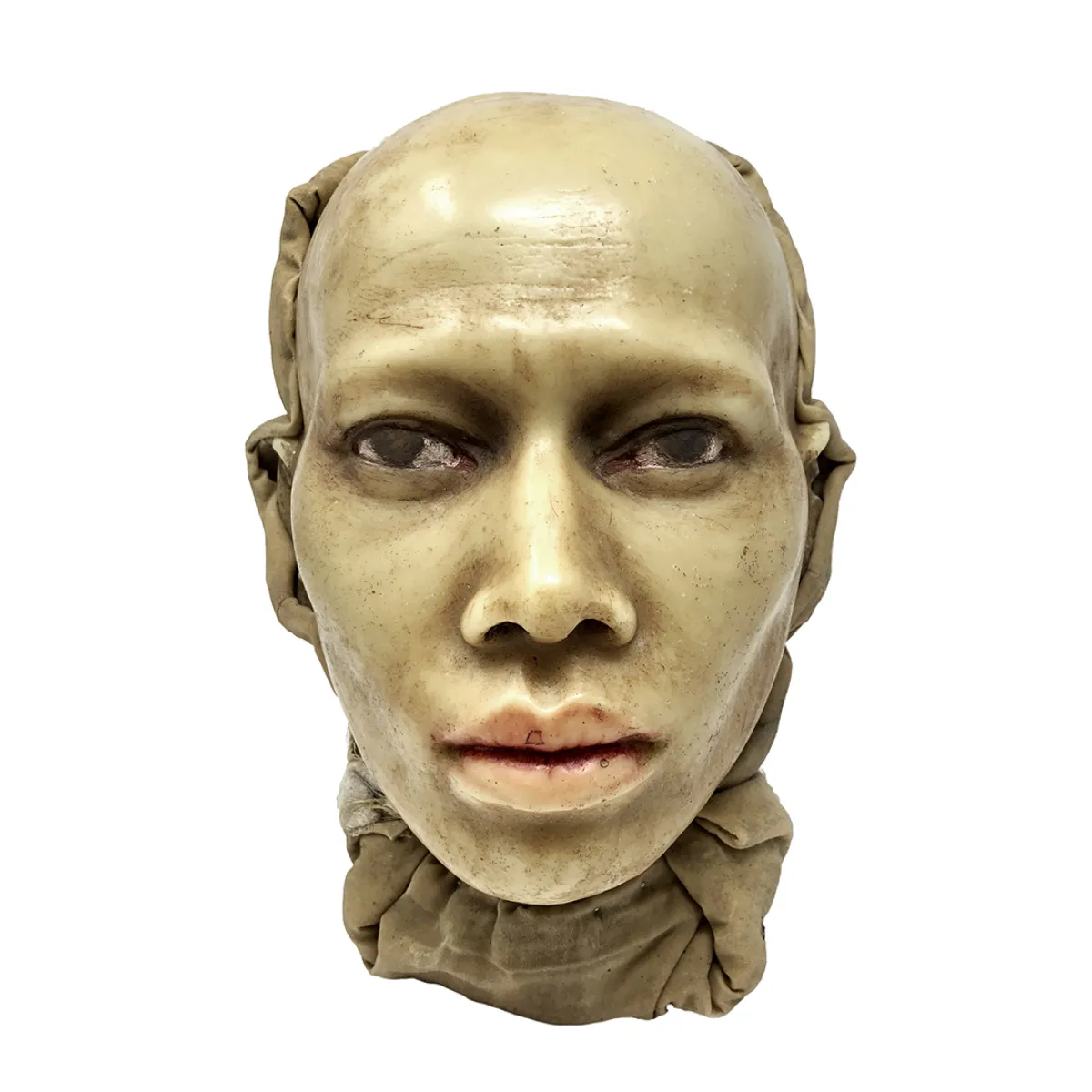 MS1271 19th Century Wax Head Medical Study