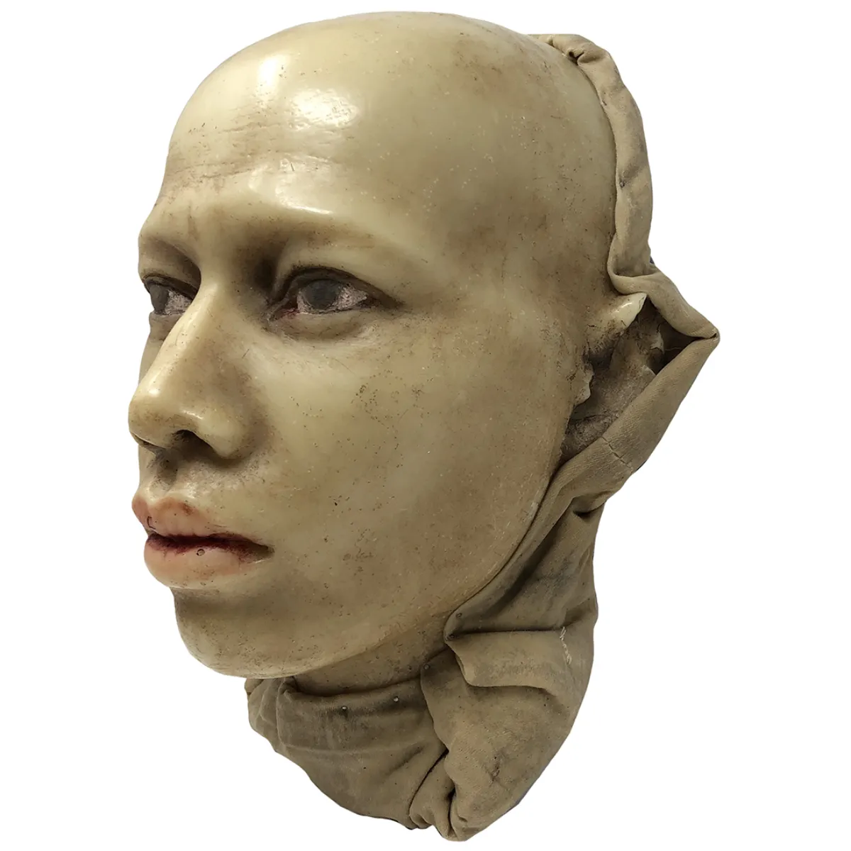 MS1272 19th Century Wax Head Medical Study