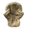 MS1274 19th Century Wax Head Medical Study