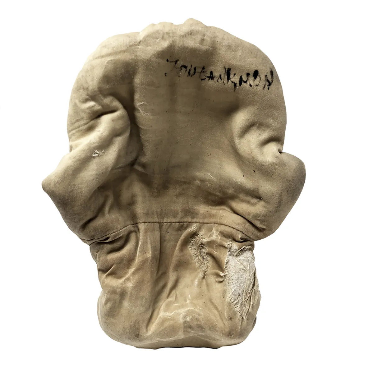 MS1274 19th Century Wax Head Medical Study