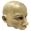 MS1282 Stunningly Macabre 19th Century Wax Half Head Medical Study
