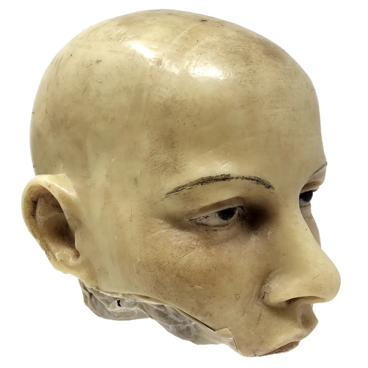 MS1282 Stunningly Macabre 19th Century Wax Half Head Medical Study