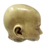 MS1283 Stunningly Macabre 19th Century Wax Half Head Medical Study