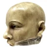 MS1284 Stunningly Macabre 19th Century Wax Half Head Medical Study