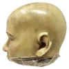 MS1285 Stunningly Macabre 19th Century Wax Half Head Medical Study