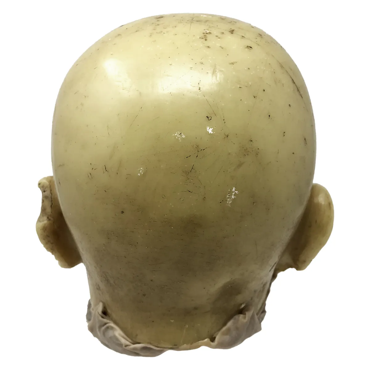 MS1286 Stunningly Macabre 19th Century Wax Half Head Medical Study
