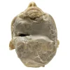 MS1287 Stunningly Macabre 19th Century Wax Half Head Medical Study