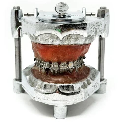 Stunning Vintage Dental Phantom Teeth