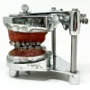 MS1292 Stunning Vintage Dental Phantom Teeth