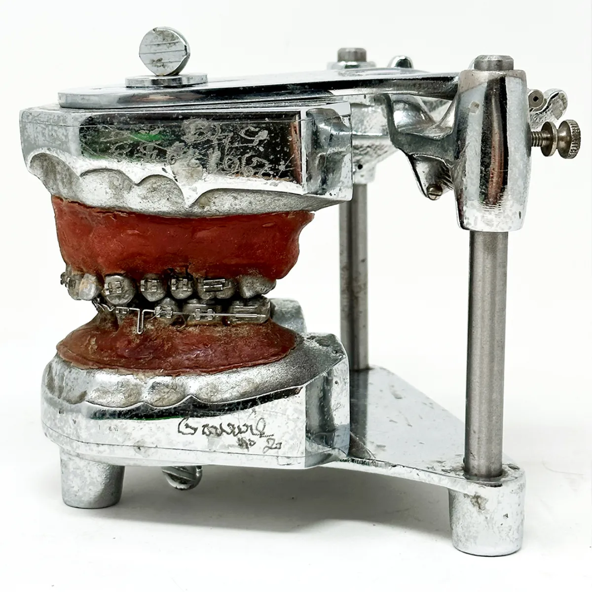 MS1292 Stunning Vintage Dental Phantom Teeth