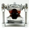 MS1294 Stunning Vintage Dental Phantom Teeth