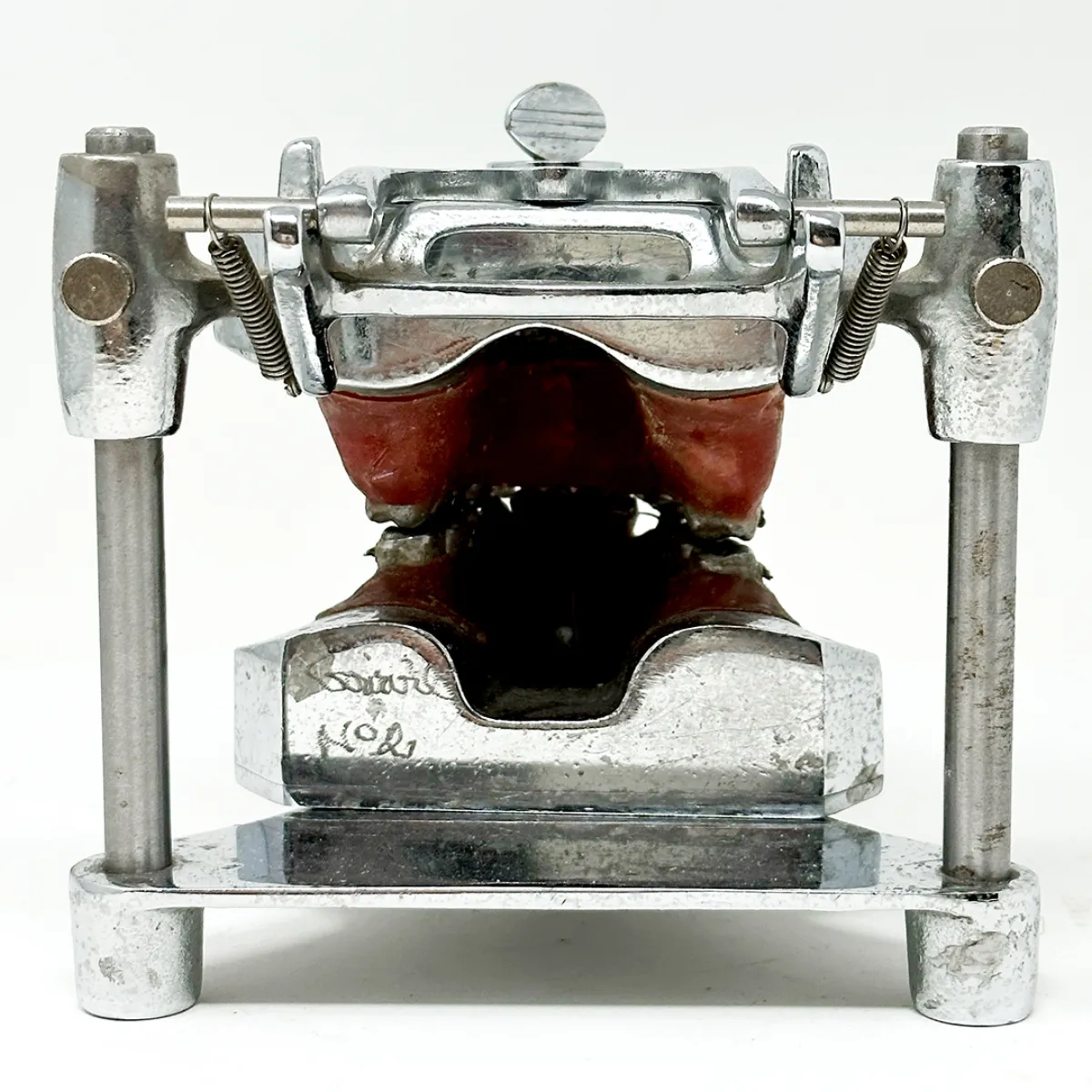 MS1294 Stunning Vintage Dental Phantom Teeth
