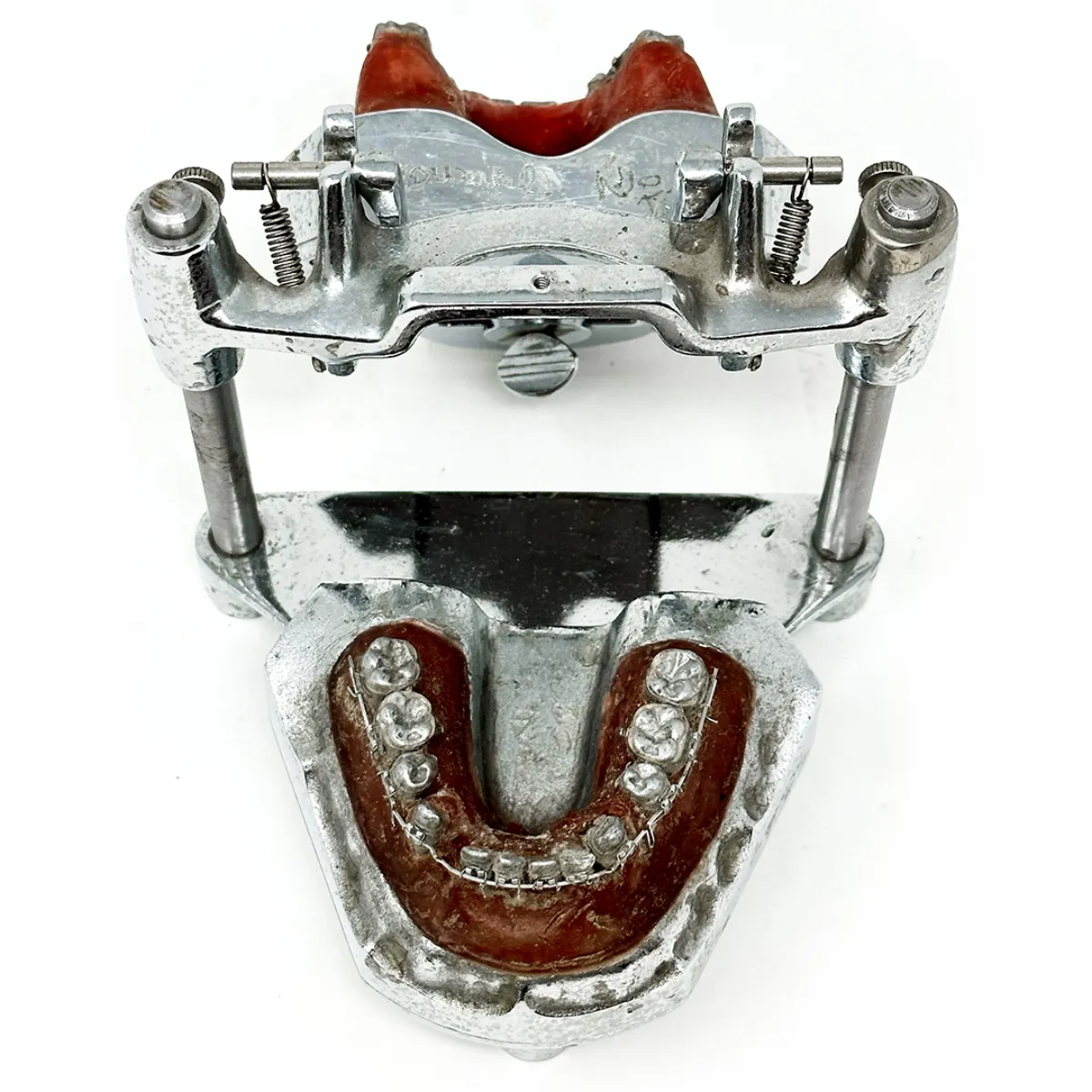 MS1295 Stunning Vintage Dental Phantom Teeth