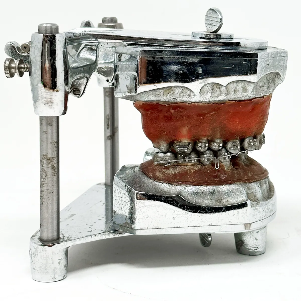MS1296 Stunning Vintage Dental Phantom Teeth