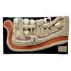 MS1321 Anatomical Bock-Steger Jaw Model