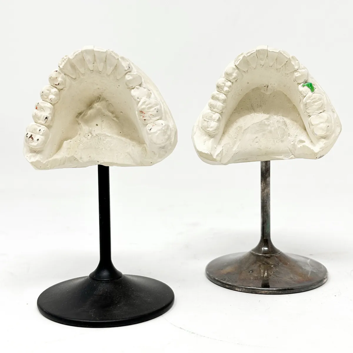 MS1341 Vintage Plaster Dental Mold