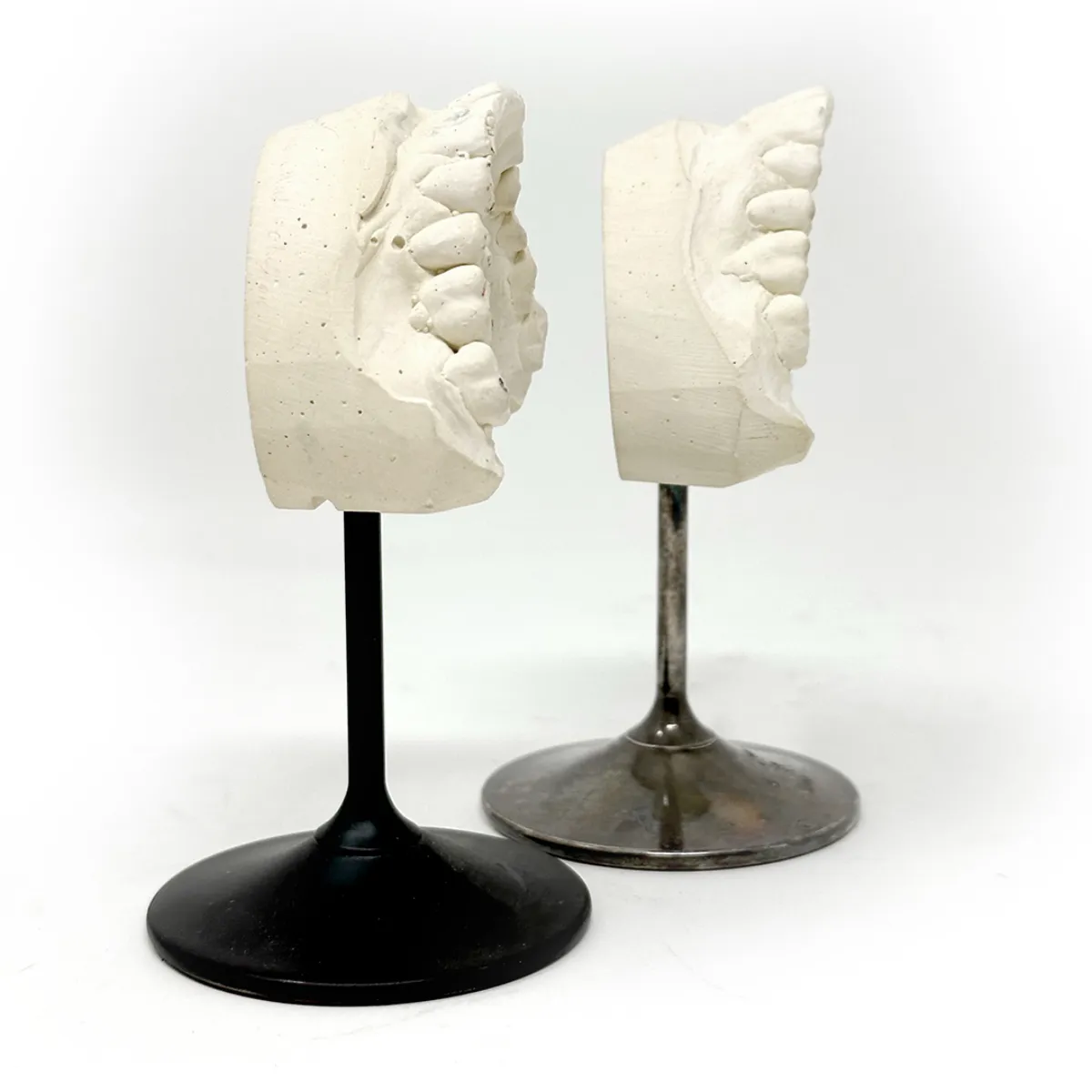 MS1342 Vintage Plaster Dental Mold