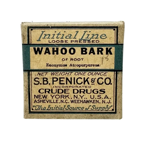 Antique Wahoo Bark Herbal Medicine Box with Contents