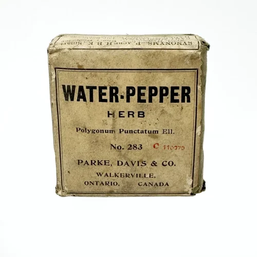 Vintage Water Pepper Herbal Medicine Packet with Contents