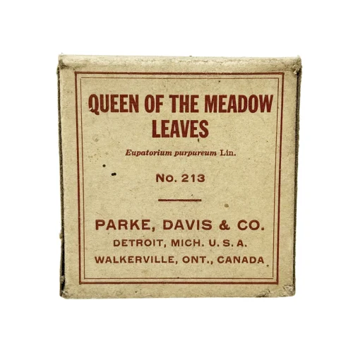 Vintage Queen of the Meadow Leaves Herbal Medicine Box with Contents