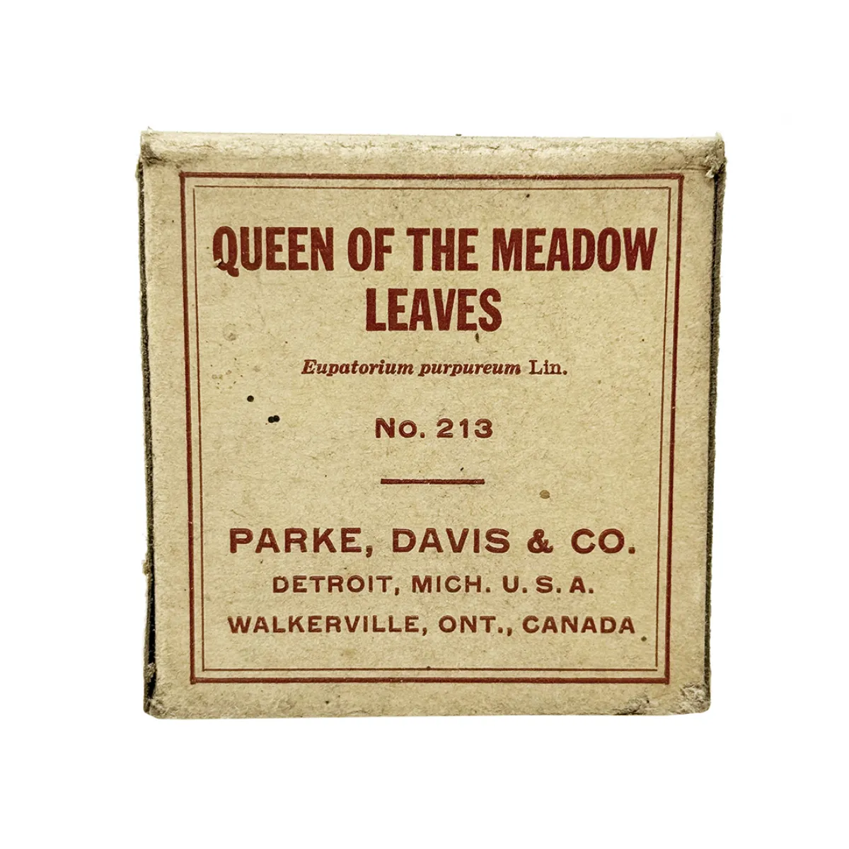 MS165 Vintage Queen of the Meadow Leaves Herbal Medicine Box with Contents