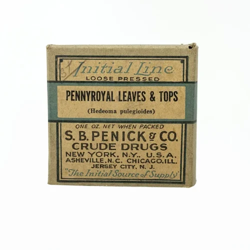 Antique Penny Royal Leaves & Tops Herbal Medicine Box with Contents