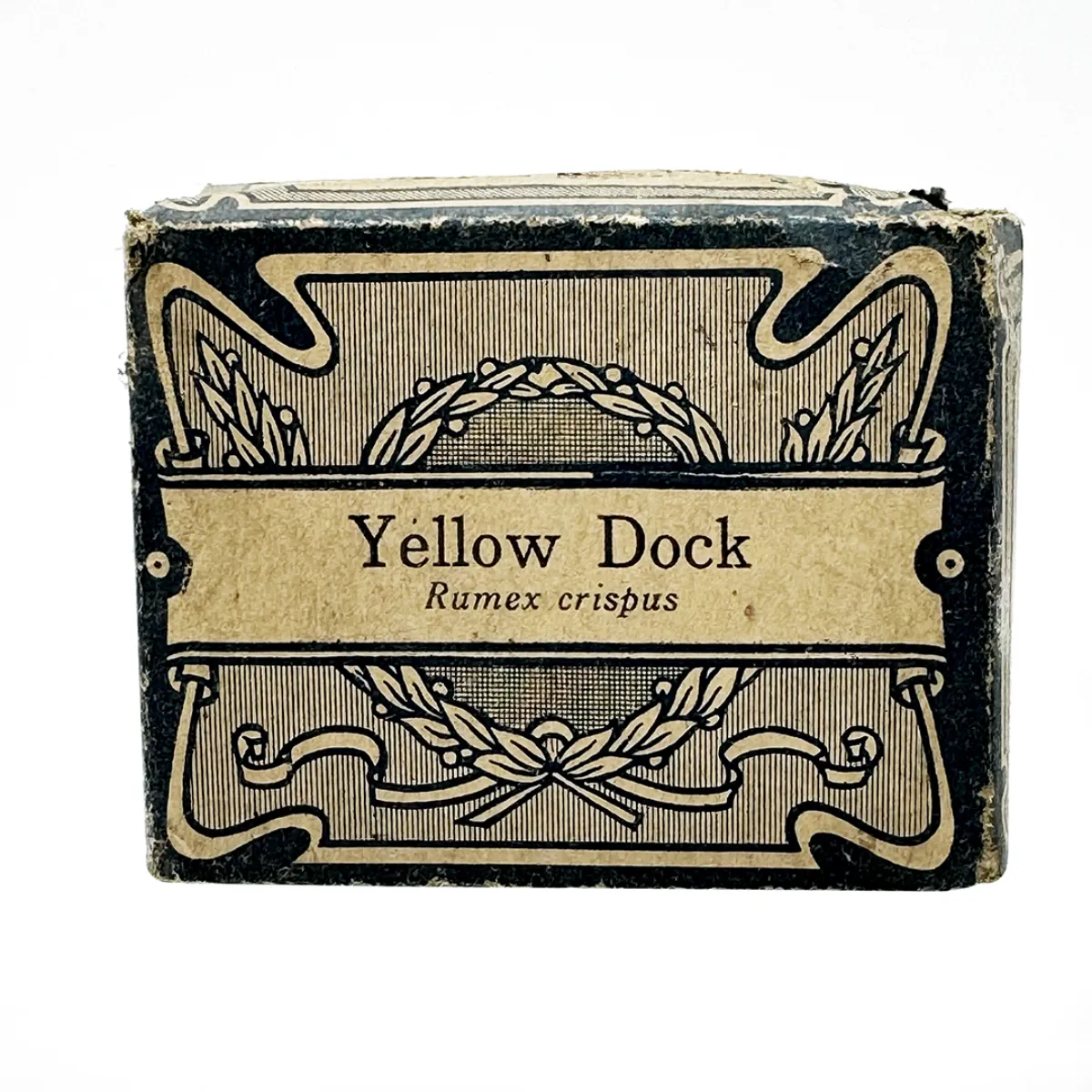 MS170 Antique Yellow Dock Herbal Medicine package with Contents