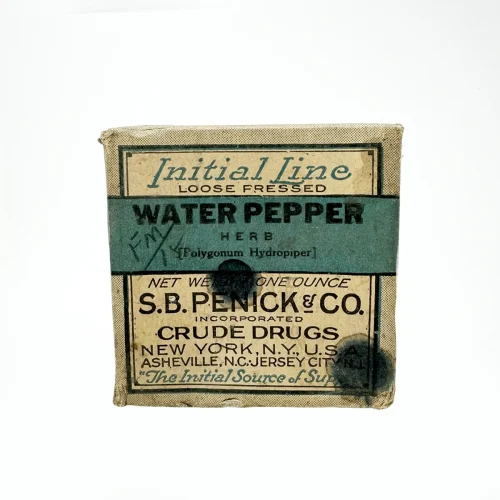 Antique Water Pepper Herbal Medicine Box with Contents