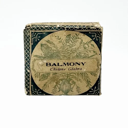 Antique Balmony Herbal Medicine Package with Contents