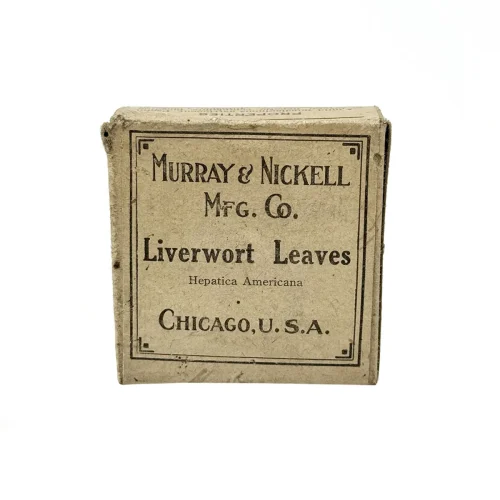 Antique Liverwort Leaves Herbal Medicine Box with Contents