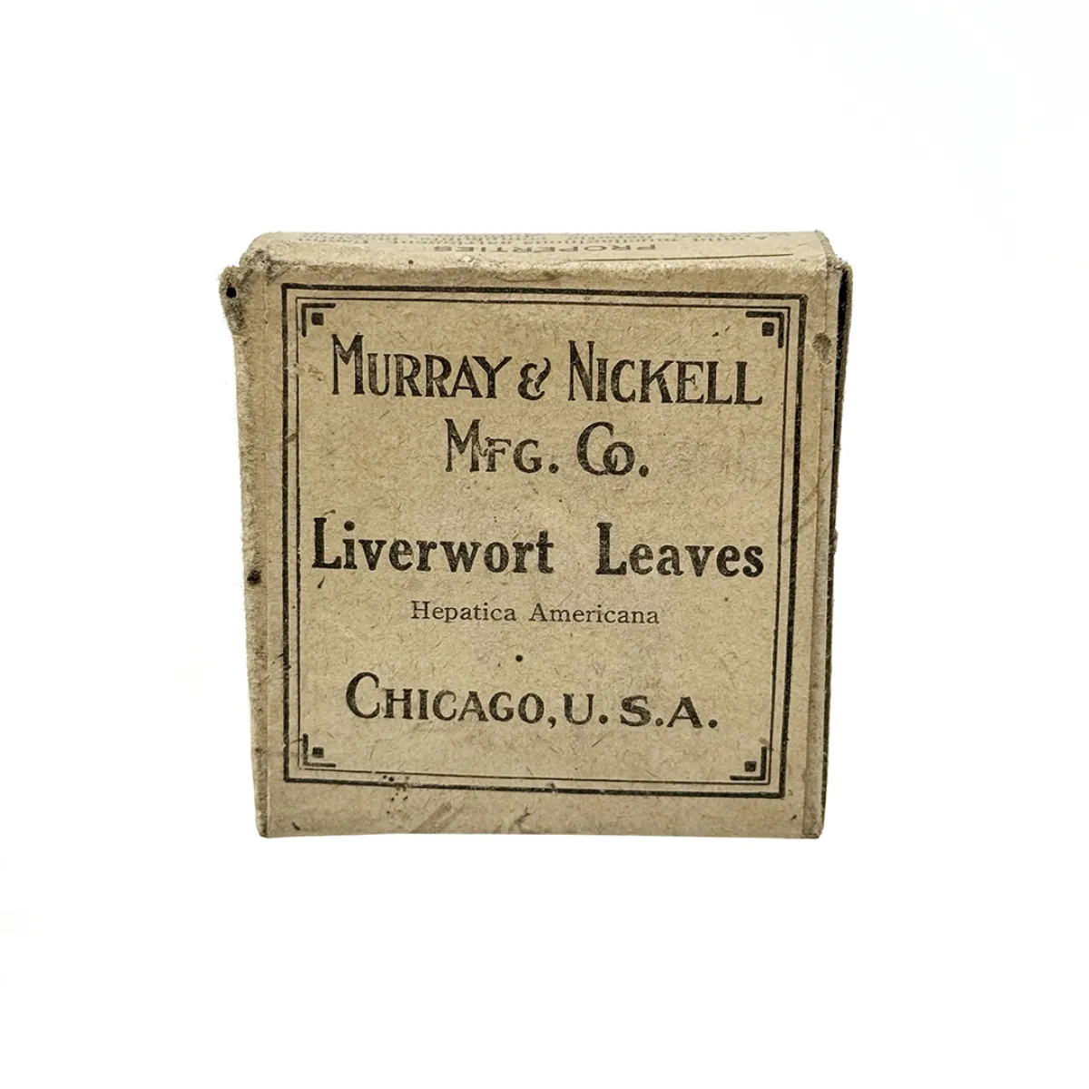 Antique Liverwort Leaves Herbal Medicine Box with Contents