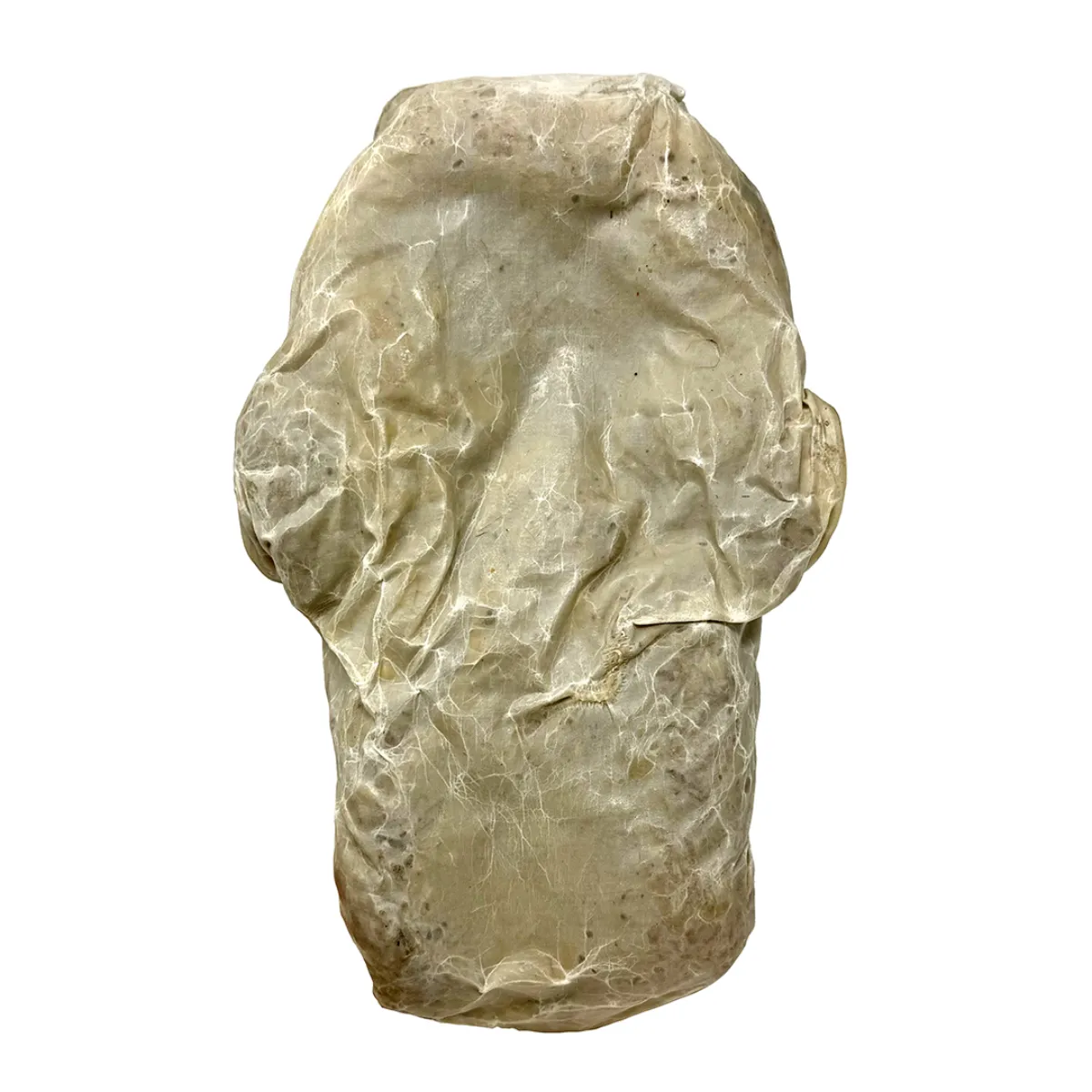 MS1843 Haunting and Macabre 19th Century Wax Head Medical Study