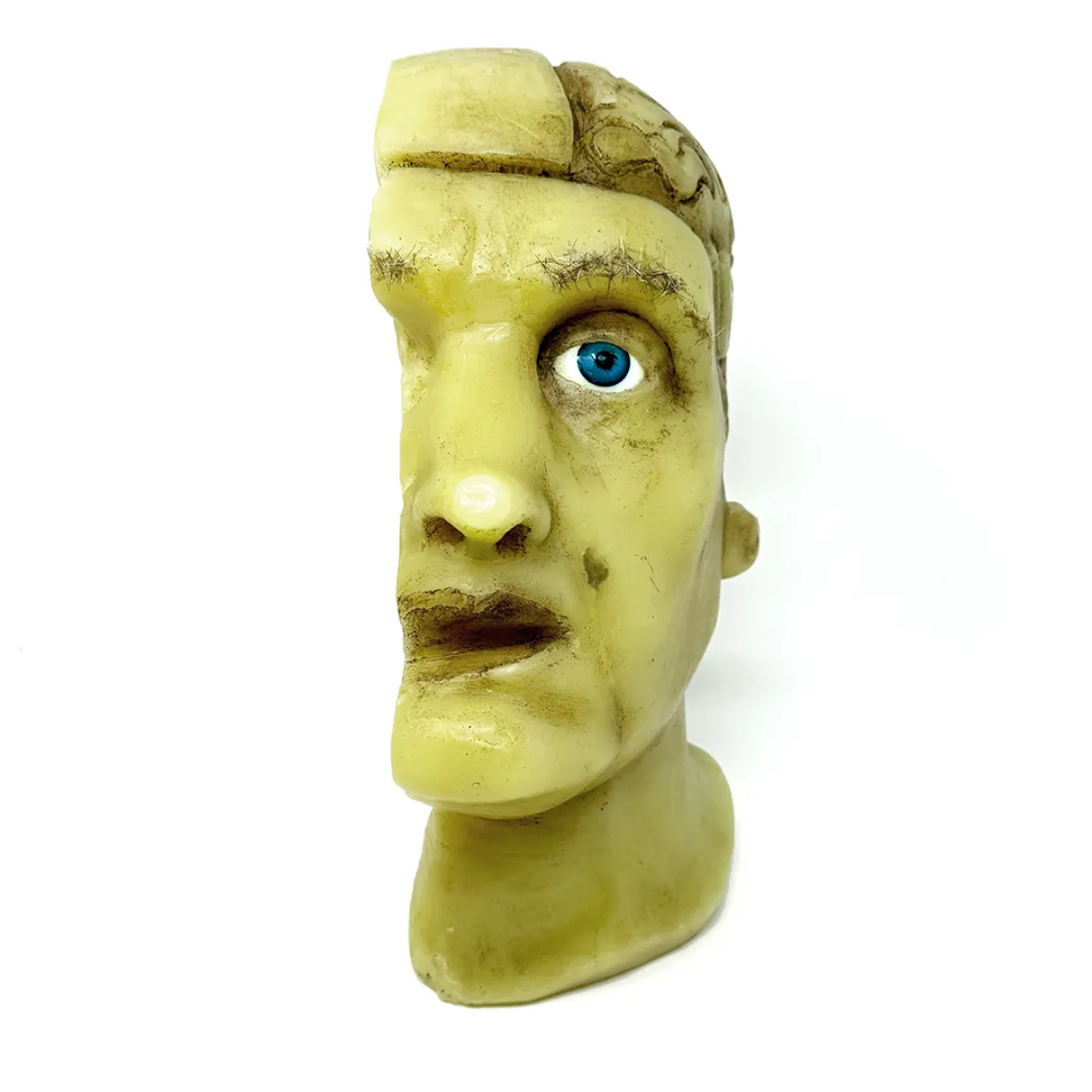 MS1852 Stunningly Macabre 19th Century Wax Half Head Medical Study