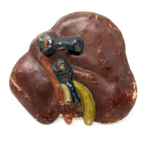 19th Century Wax Medical Model Human Liver