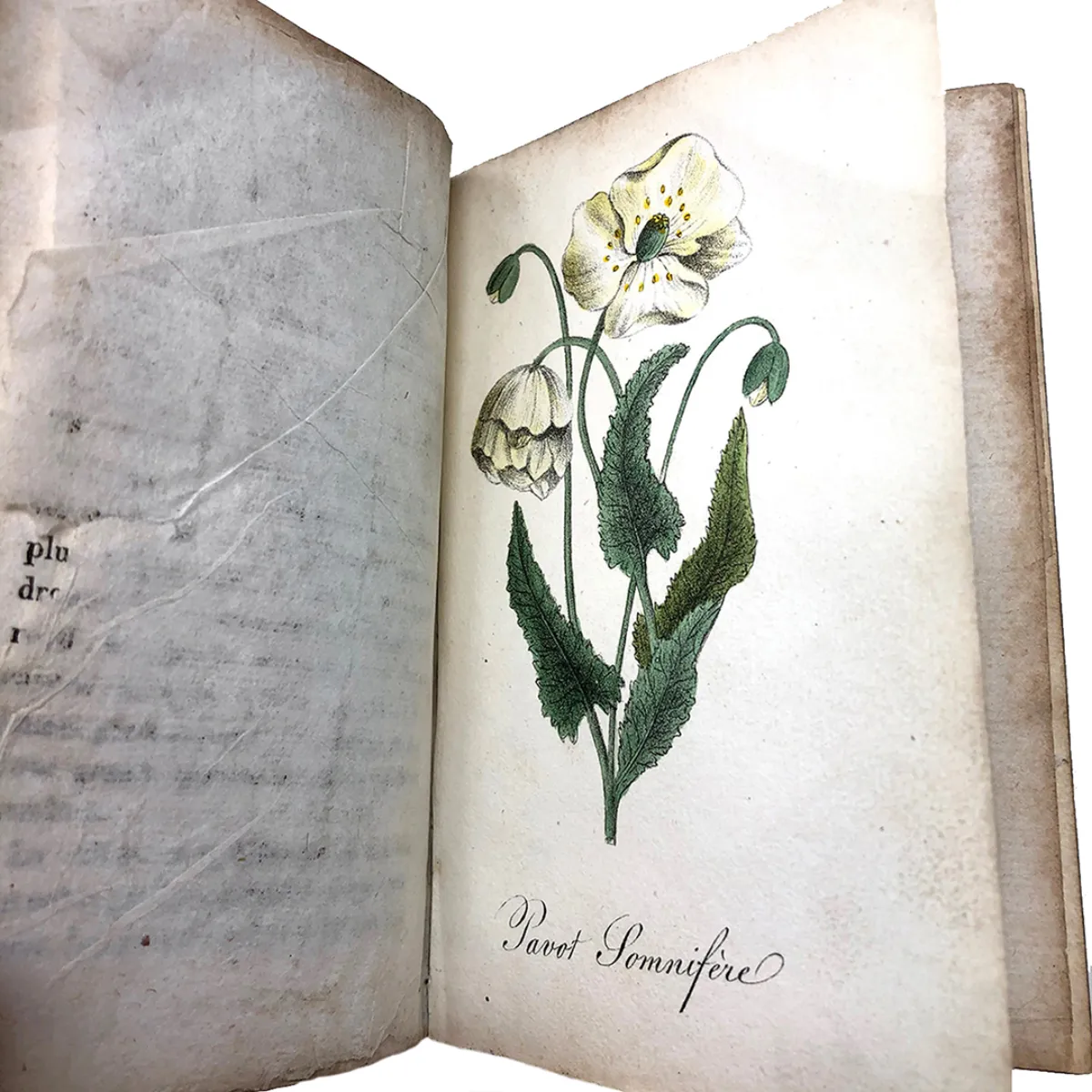 MS2295 Manuel Médico-Légal Des Poisons An 1824 Manual for Detecting and Treating Poisons