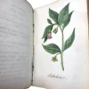 MS2296 Manuel Médico-Légal Des Poisons An 1824 Manual for Detecting and Treating Poisons