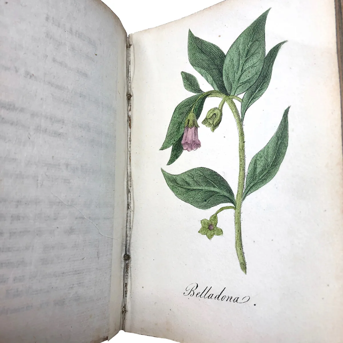 MS2296 Manuel Médico-Légal Des Poisons An 1824 Manual for Detecting and Treating Poisons