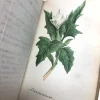 MS2299 Manuel Médico-Légal Des Poisons An 1824 Manual for Detecting and Treating Poisons