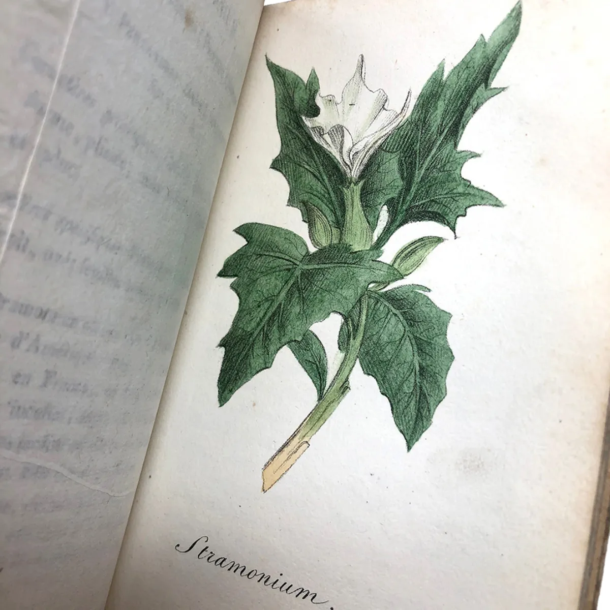 MS2299 Manuel Médico-Légal Des Poisons An 1824 Manual for Detecting and Treating Poisons