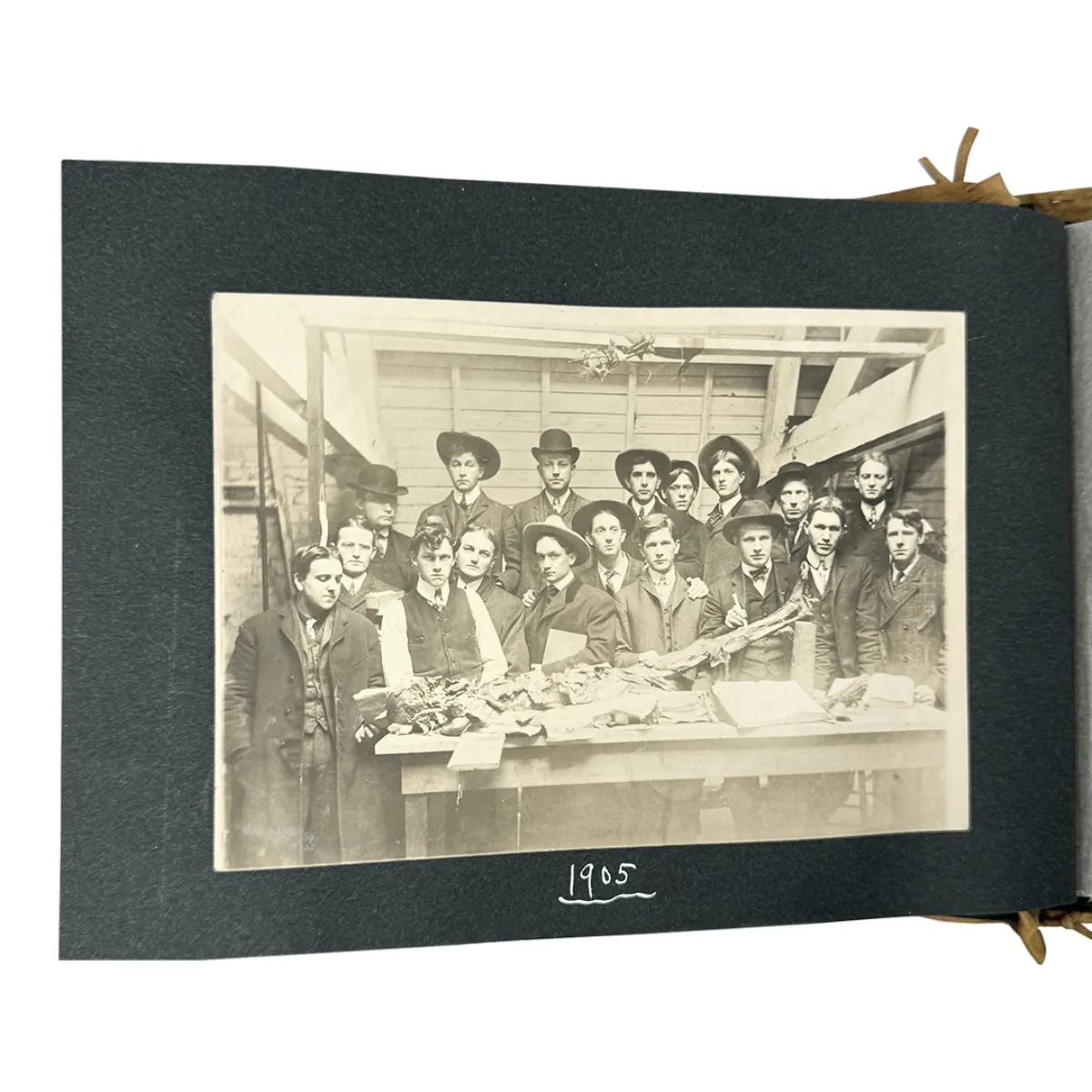 MS2313 1905 Grisly Medical School Autopsy Cadaver Photo Album