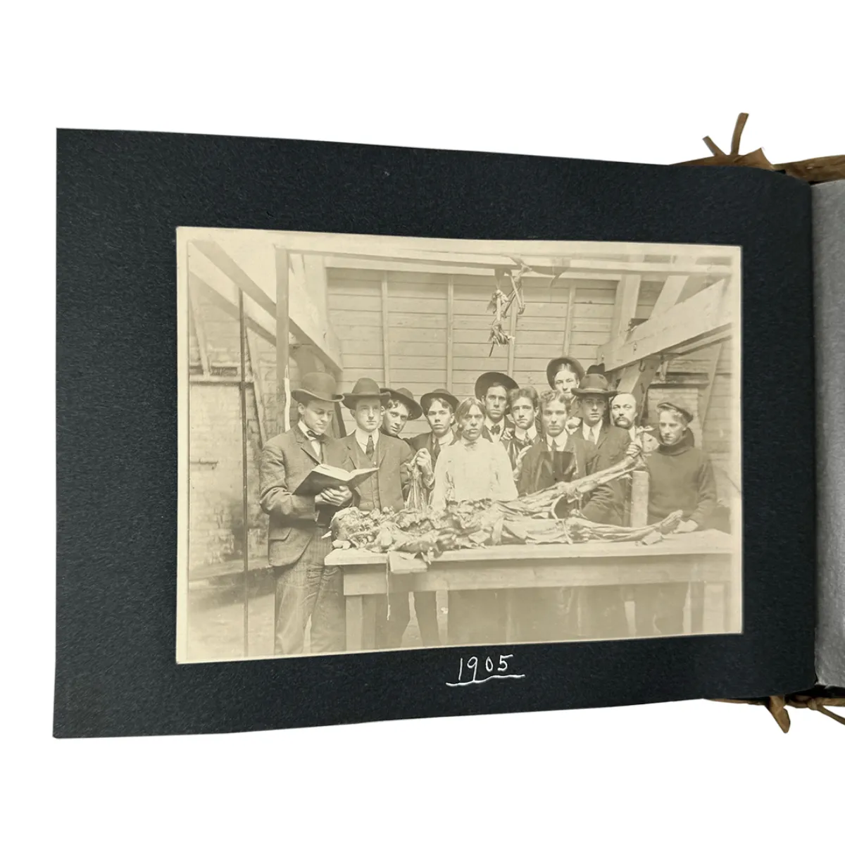 MS2314 1905 Grisly Medical School Autopsy Cadaver Photo Album