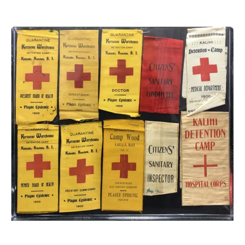 MS2401 1899 Hawaiian Bubonic Plague Outbreak Concentration Camp Ribbons