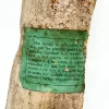 MS2442 Rare Mid 19th Century Medical Splints