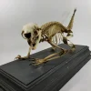 Antique Articulated Porcupine Skeleton