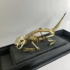 Antique Articulated Porcupine Skeleton