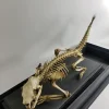 Antique Articulated Porcupine Skeleton