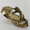 19TH CENTURY SAND TIGER SHARK JAW MUSEUM PIECE